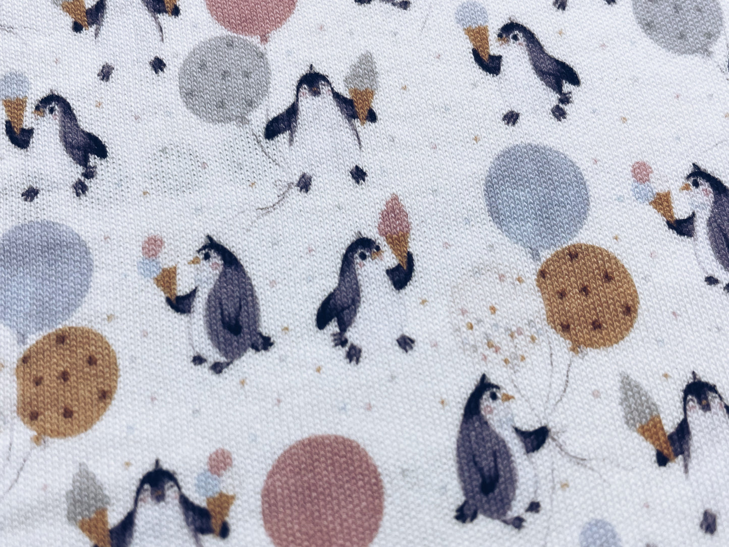 Digitally Printed Pure Organic Cotton Heavy Weight Interlock Fabric (TR-190-INT-DTG)